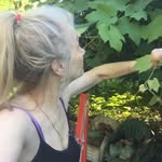 Donna Abraham - @donna.abraham.75 - Instagram