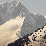 Achille Riccadonna - @achillericcadonna - Instagram