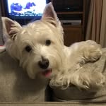 Donna Ackermam - @donnaackermam - Instagram