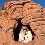 Donna Ackerson - @donna_ackerson5 - Instagram