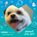 Donna Ackerman - Facebook