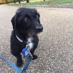 Donna Ackerman - @donnabear20 - Instagram