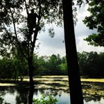 Donna Acklin - @greenwinkli - Instagram