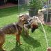 Donna Adam - Facebook