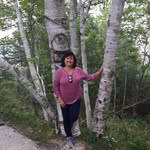 Donna Adcox Wilson - @frenchiewilson359 - Instagram