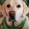 Donna Addis473 - @donnaaddis473 - TikTok