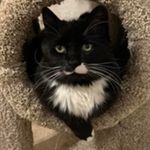 Donna Bruce Addy - @donna.addy - Instagram