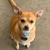 Donna Lackey Adderhold - Facebook