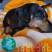 Donna Agee - Facebook