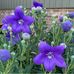 Donna Agee - Facebook