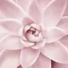 DonnaRanae - @donnaagee - TikTok
