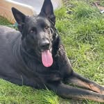 Donna Akehurst - @donnaakehurst123 - Instagram
