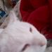 Donna Akers - Facebook