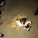 Donna Akers - Facebook