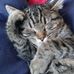 Donna Alaimo - Facebook