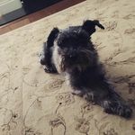 Donna Alford - @alforddonna - Instagram