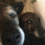 Donna Alford - @donna_r_alford - Instagram