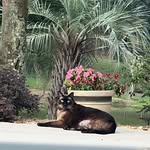 Donna Alford - @dsalford - Instagram