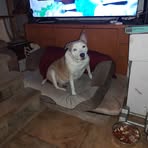 Donna Alford - Facebook