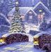 Donna Alisio - Facebook