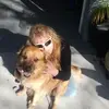 donnaallgood - @donnaallgood - TikTok