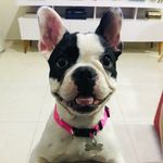 Donna Alves Jordão - @donna_jordao - Instagram