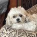 Donna Ammons - Facebook
