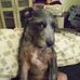 Donna Appleby - Facebook