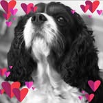 Donna Appleby-Blundred - @donna6450 - Instagram