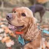 donnaappleby555 - @donnaappleby555 - TikTok