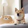 Donnaash1239 - @donnaash1239 - TikTok