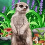 Donna Ashcroft - @donlea2468 - Instagram