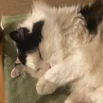 Donna Ashcroft - @donnaash1056 - Instagram