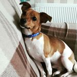 donna.ashcroft - @donna.ashcroft2017 - Instagram