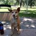 Donna Atchison - Facebook
