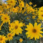 Donna Bain - @donna.bain.142 - Instagram