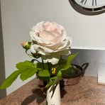 Donna Bainbridge - Facebook