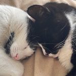 Donna Bancroft - @donna.mainprize - Instagram