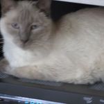 Donna Bancroft Curry - @bancroftcurry - Instagram