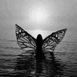 freebird - @donnabancroft - Instagram