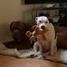 Donna Bannister - Facebook