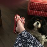 Donna Bannister - @donna.bannister.980 - Instagram