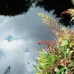 Donna Bannister - @donna.bannister.543 - Instagram