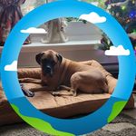 Donna Steeves Bannister - @donna.s.bannister - Instagram