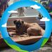 Donna Steeves Bannister - Facebook