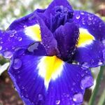 Donna Barbour - @donna.barbour - Instagram