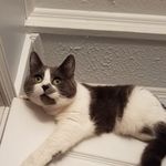 Donna Barbour - @donna.barbour.9237 - Instagram