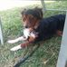 Donna Barbour - Facebook