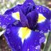 Donna Barbour - Facebook