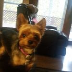 Donna Barbour Miller - @donna6075miller - Instagram